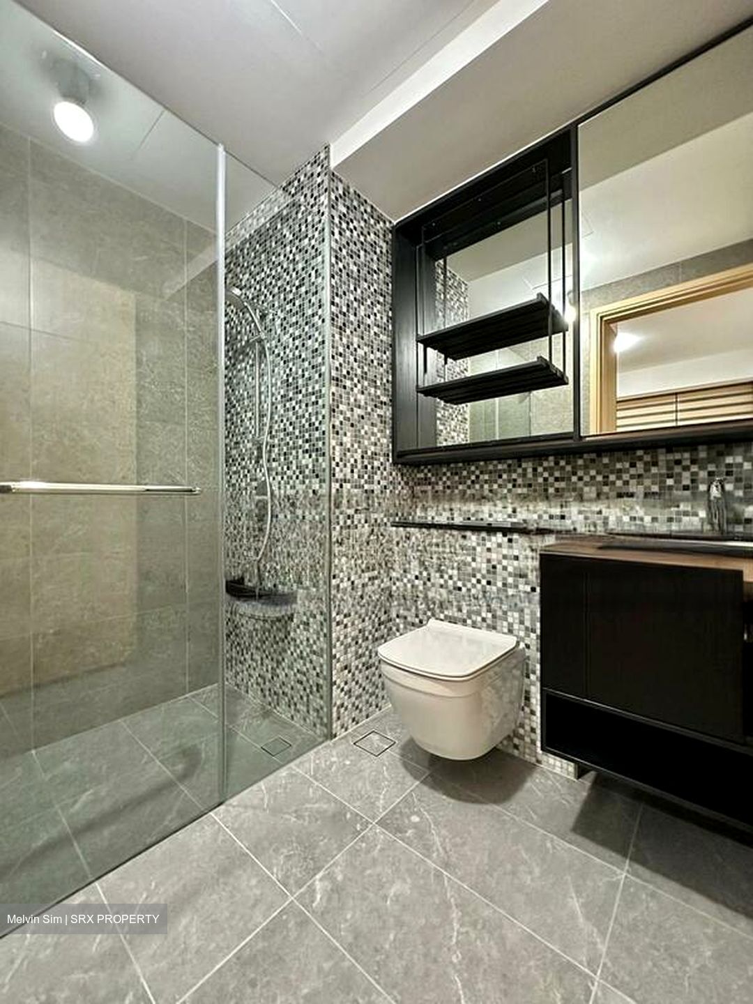 The Antares (D14), Apartment #595145031
